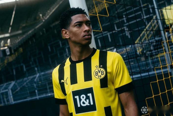 案例分析 案例分析